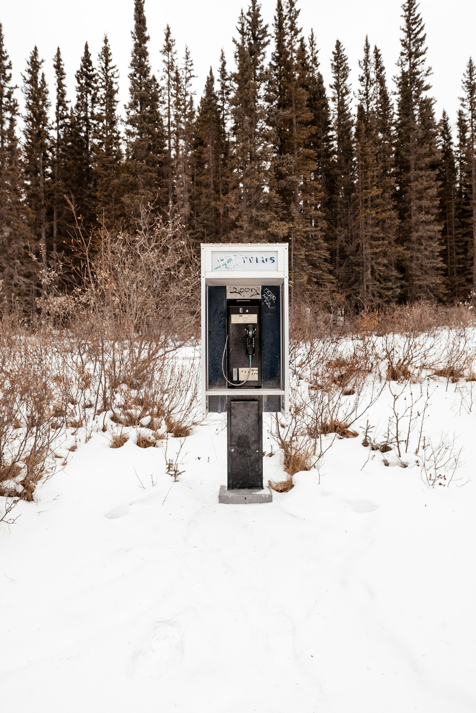 A black and gray telephone booth half-buried in snow at the edge of a road.